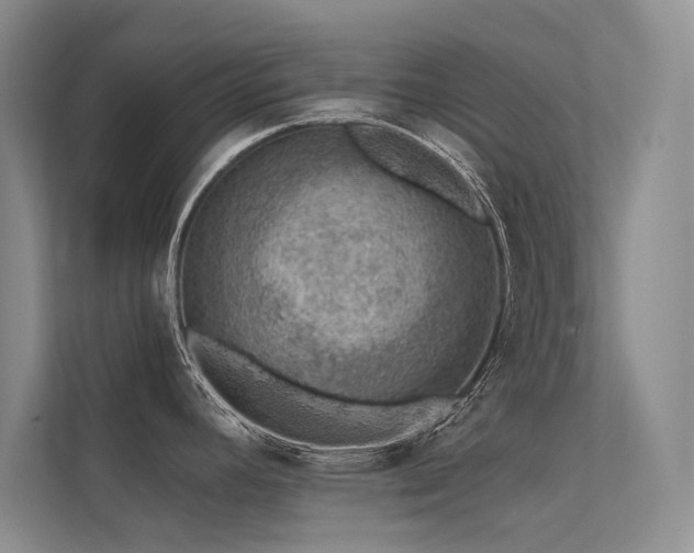 X0000112381392200908131520