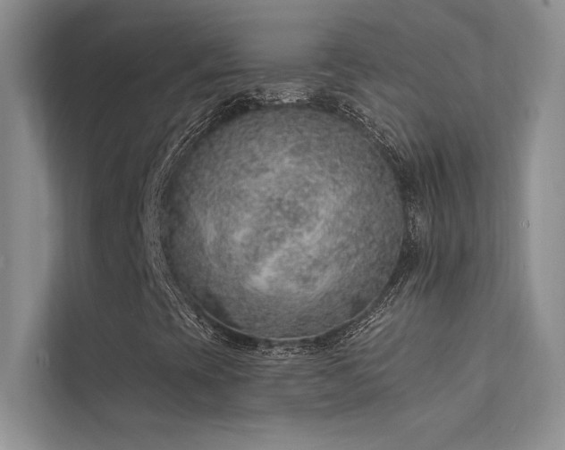 X0000112381393200908131519