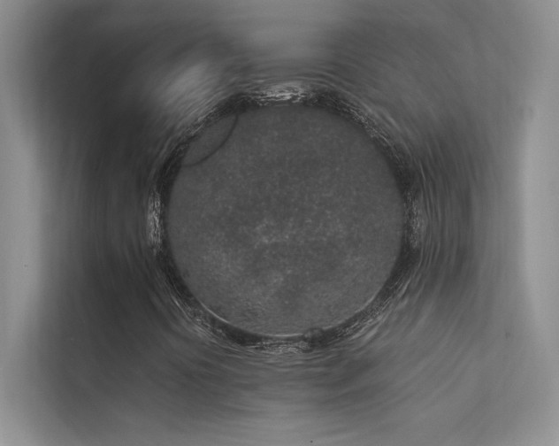 X0000112381394200908131519