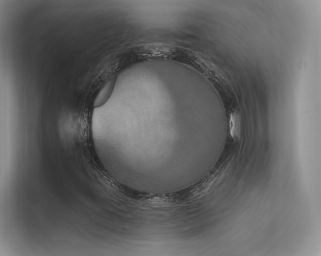 X0000112381395200908131519