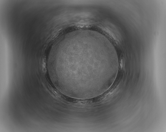 X0000112381396200908131519