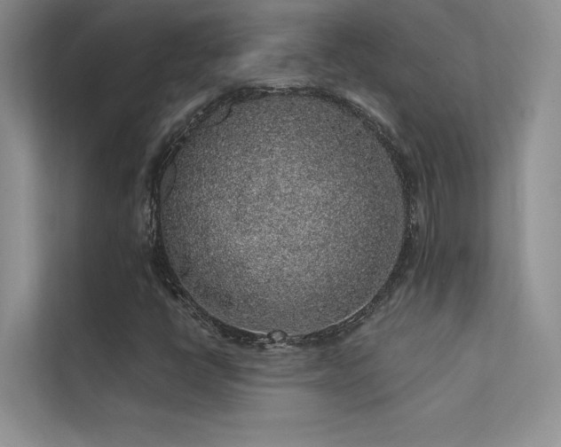 X0000112381398200908131519