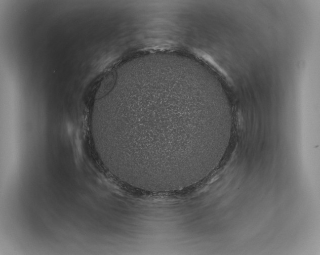 X0000112381399200908131519