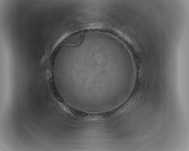 X0000112381400200908131519