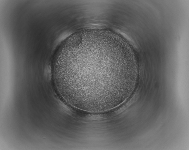 X0000112381402200908131520