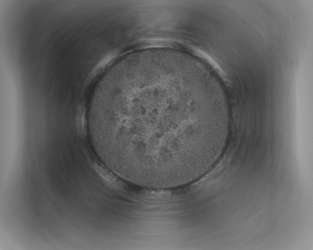 X0000112381403200908131520