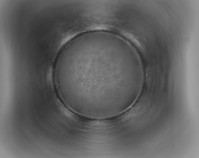 X0000112381404200908131520