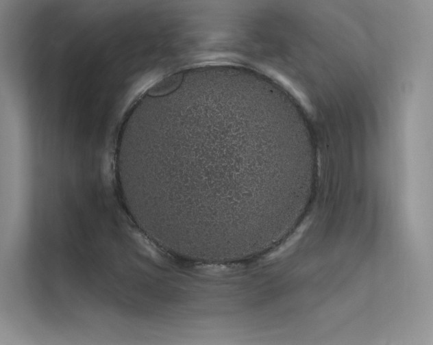 X0000112381405200908131520