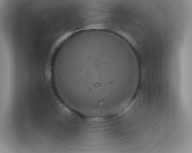 X0000112381406200908131520