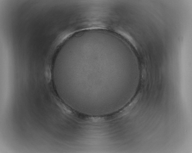 X0000112381407200908131520