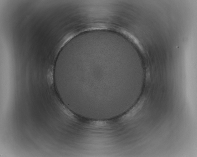 X0000112381409200908131520