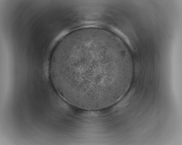 X0000112381411200908131520