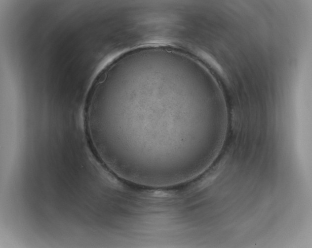 X0000112381412200908131520