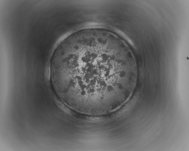 X0000112381413200908131520