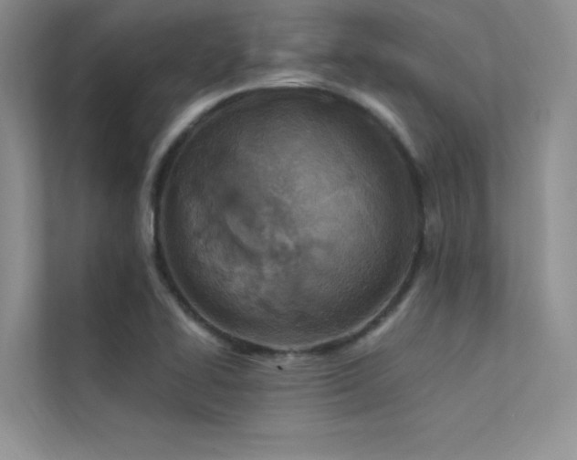 X0000112381414200908131520