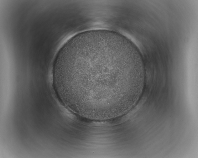 X0000112381415200908131520