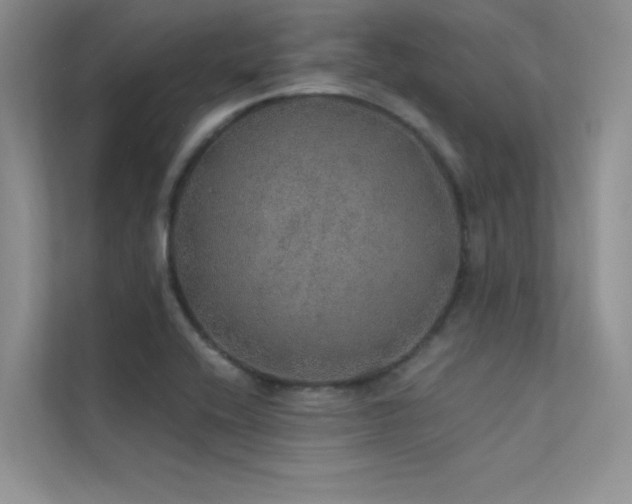 X0000112381416200908131520