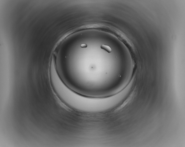 X0000112381417200908131520