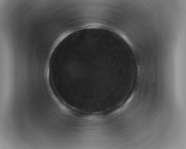 X0000112381418200908131520