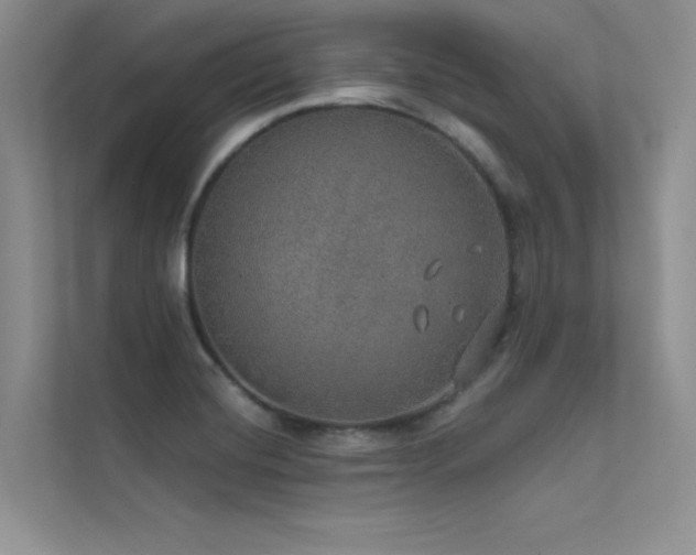 X0000112381420200908131520