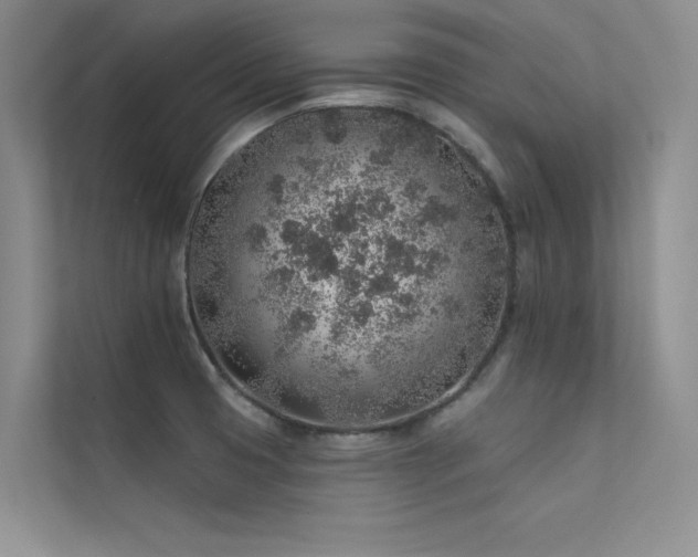 X0000112381425200908131520