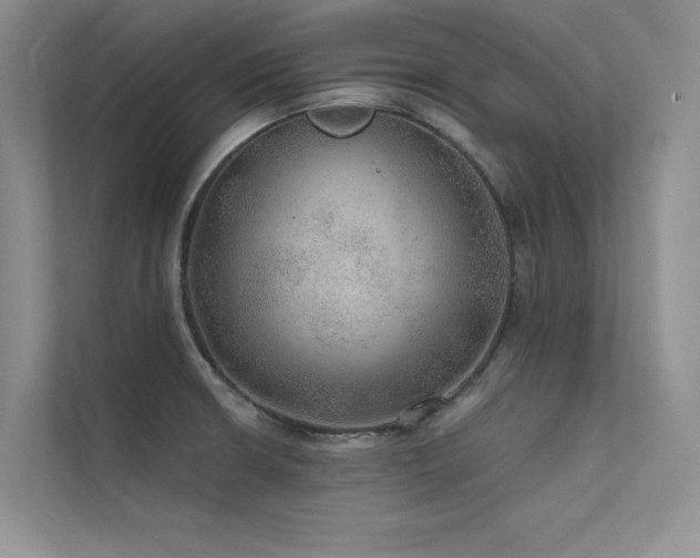 X0000112381426200908131520