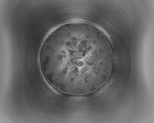 X0000112381429200908131520