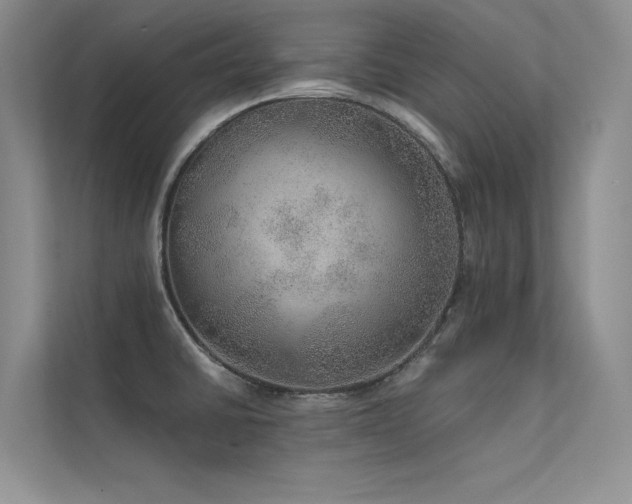 X0000112381430200908131520