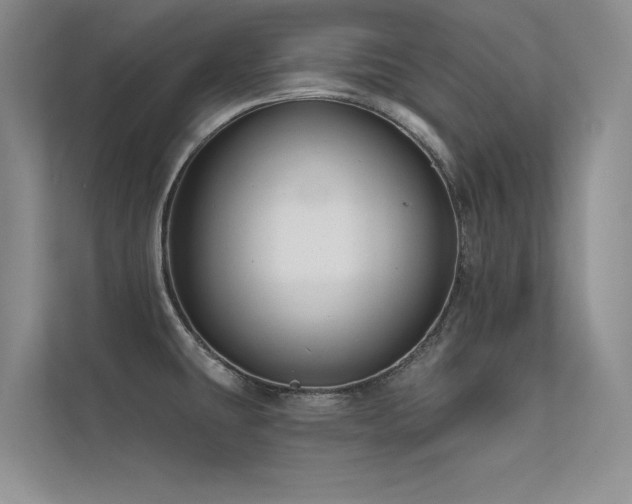 X0000112381431200908131520