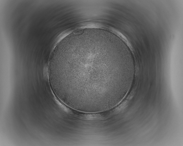 X0000112381433200908131520