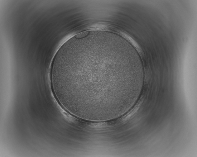 X0000112381434200908131520