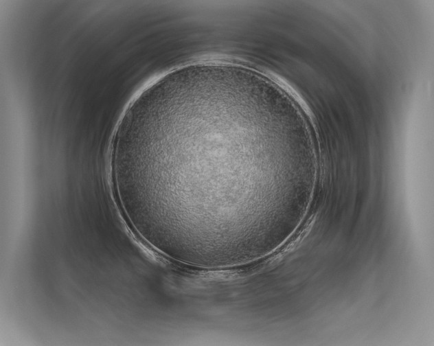 X0000112381437200908131520