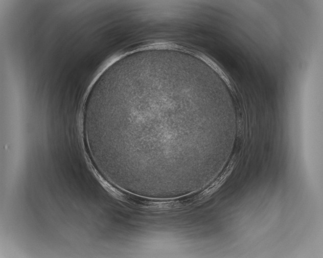 X0000112381438200908131520