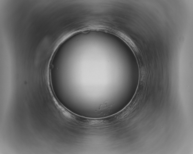 X0000112381439200908131520