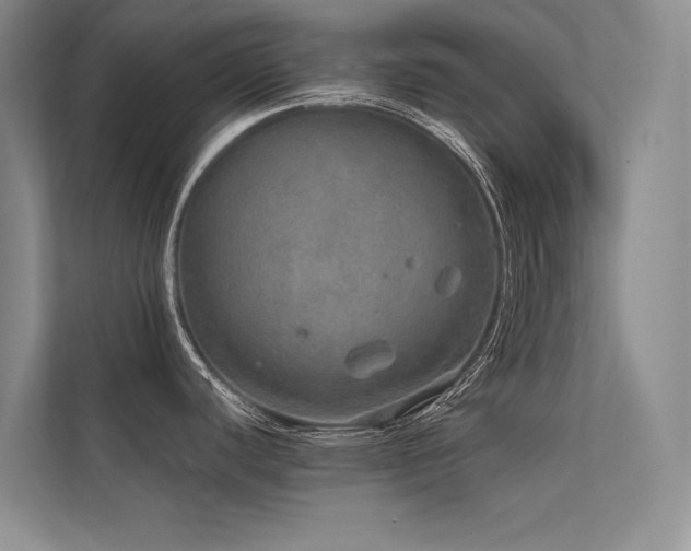 X0000112381440200908131520