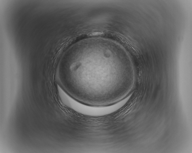 X0000112381441200908131519