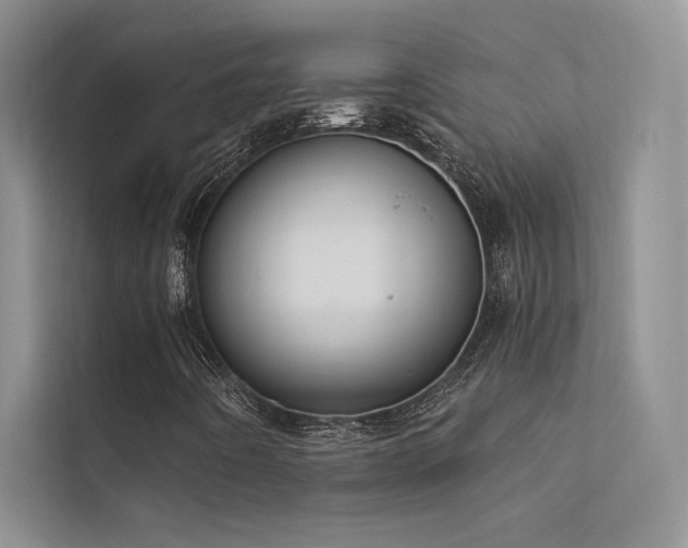 X0000112381442200908131519