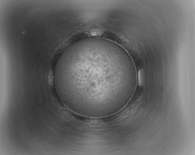 X0000112381443200908131519