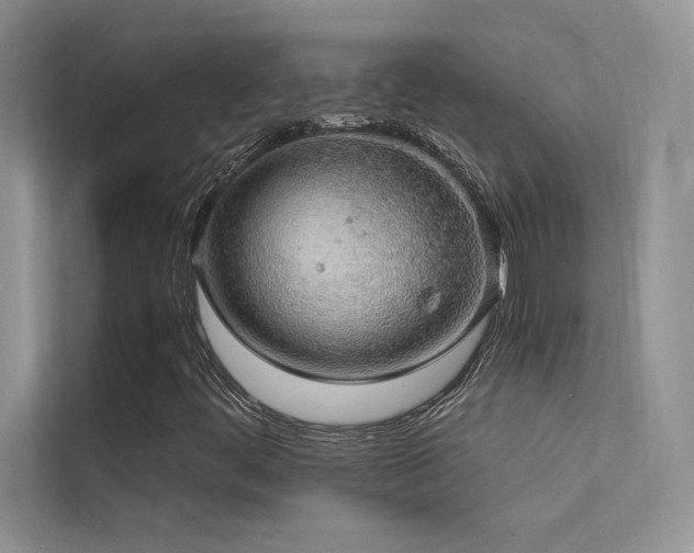 X0000112381444200908131519