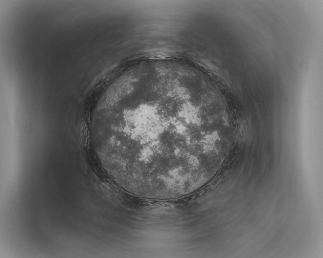 X0000112381446200908131519