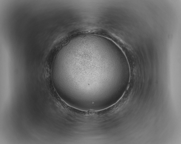 X0000112381447200908131519