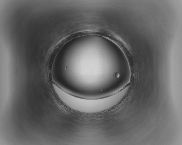 X0000112381448200908131519