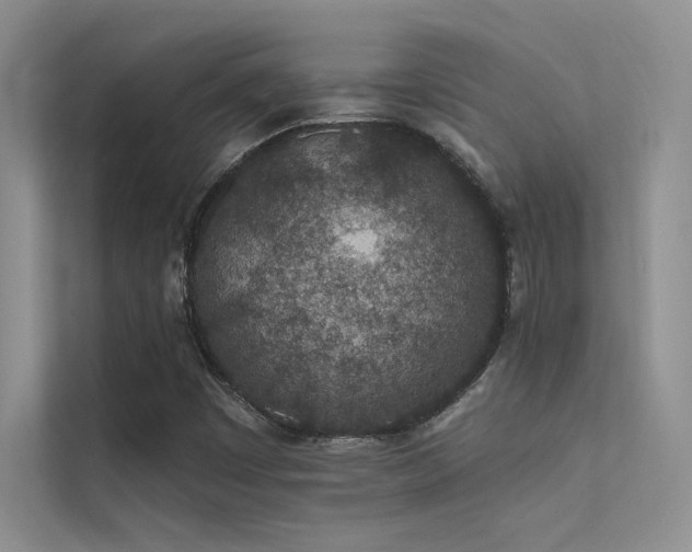 X0000112381449200908131519