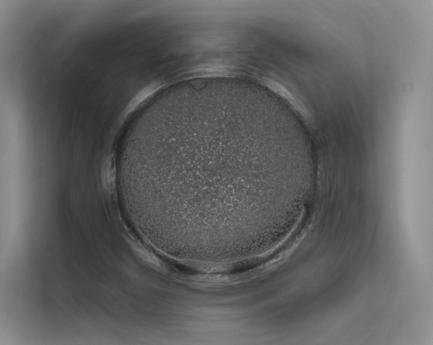 X0000112381450200908131519