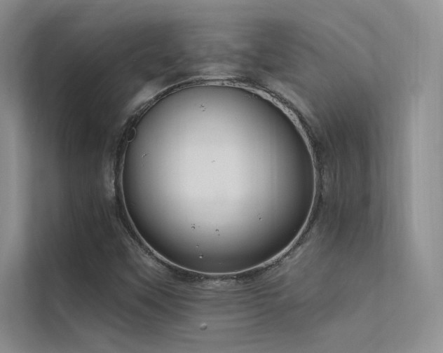 X0000112381451200908131519