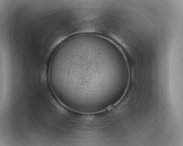 X0000112381452200908131519