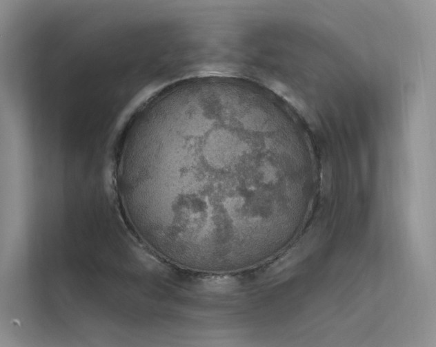 X0000112381454200908131519