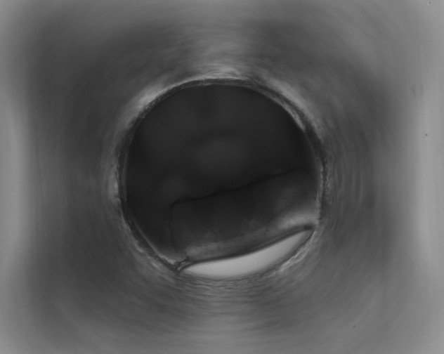 X0000112381455200908131519