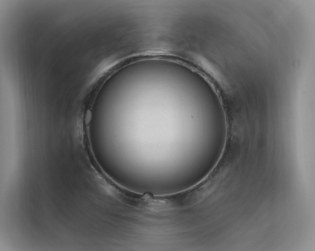 X0000112381456200908131519