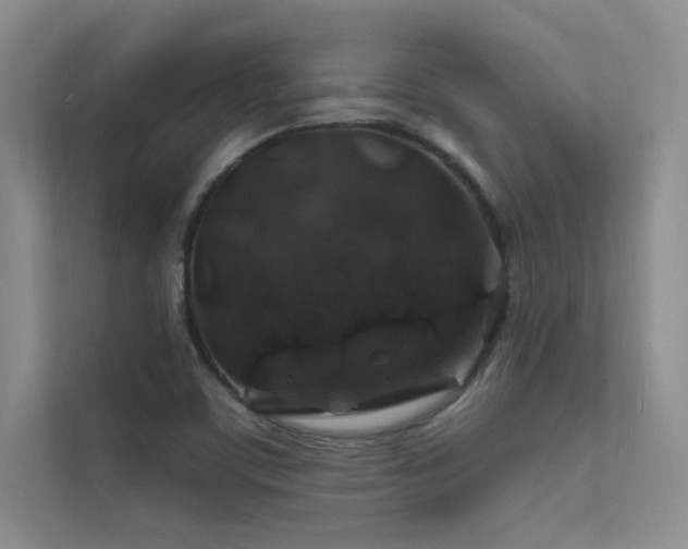 X0000112381459200908131519